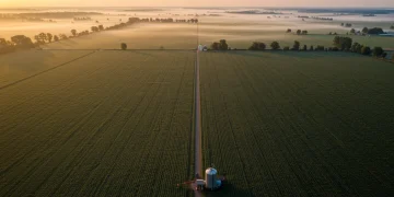 Vast agricultural fields under a clear sky, symbolizing agricultural market trends and US food production.